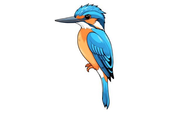 Download Kingfisher Bird Illustration Png - Premium Resources